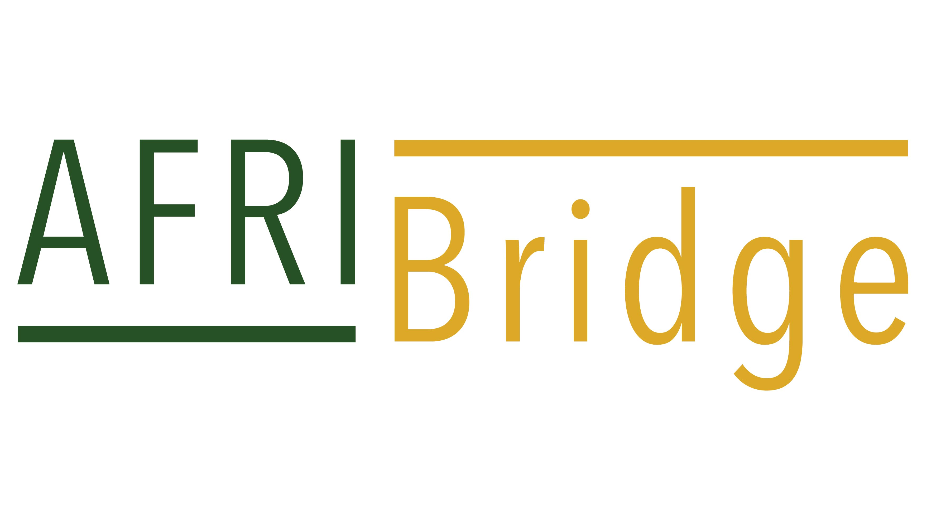 Afribridge IT Logo